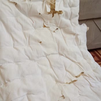 Yün Yorganım Parçalanarak Teslim Edildi, Mağdur Edildim