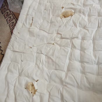 Yün Yorganım Parçalanarak Teslim Edildi, Mağdur Edildim