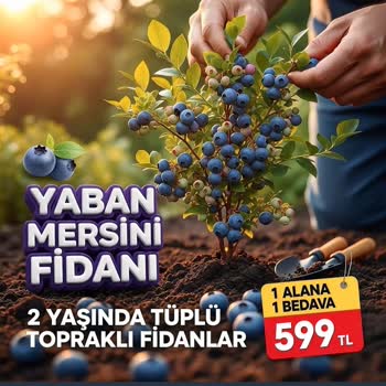 Fidancidan.com Aldığım Fidanlar Kuru Ve Çürümüş Geldi, Firma İlgisiz Kaldı