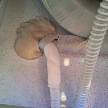 Klima Montajında Duvarım Zarar Gördü, Çözüm Bekliyorum