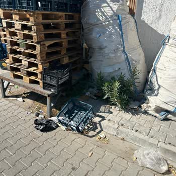 A101 Şubesi Nedeniyle Süregelen Çevre Kirliliği Ve Kaldırım İşgali Sorunu