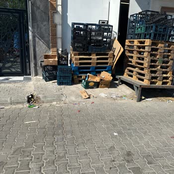 A101 Şubesi Nedeniyle Süregelen Çevre Kirliliği Ve Kaldırım İşgali Sorunu