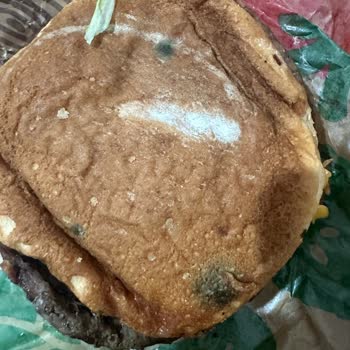 Küflü Ürün Ve İade Sorunu: Burger King Tıkla Gelsin Uygulamasında Müşteri Mağduriyeti