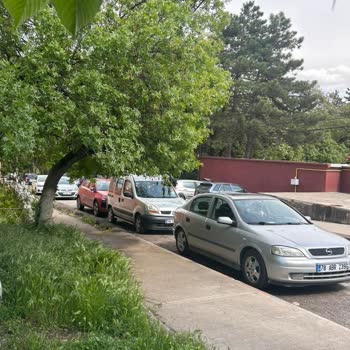 Sosyal Tesis Nedeniyle Trafik Ve Gürültü Mağduriyeti