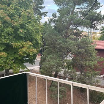 Sosyal Tesis Nedeniyle Trafik Ve Gürültü Mağduriyeti