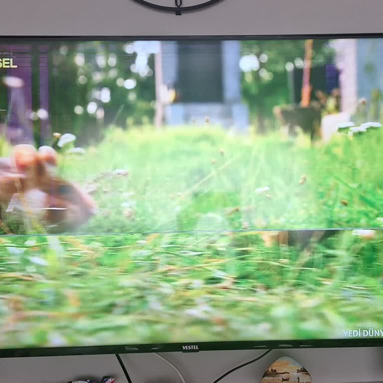 Vestel Televizyonumda 3 Aydır Geçmeyen Yatay Ve Dikey Çizgi Sorunu