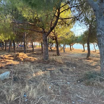Kamuya Ait Bank İçin Kafe Tarafından Haksız Ücret Talebi Ve Tabela Sökülmesi