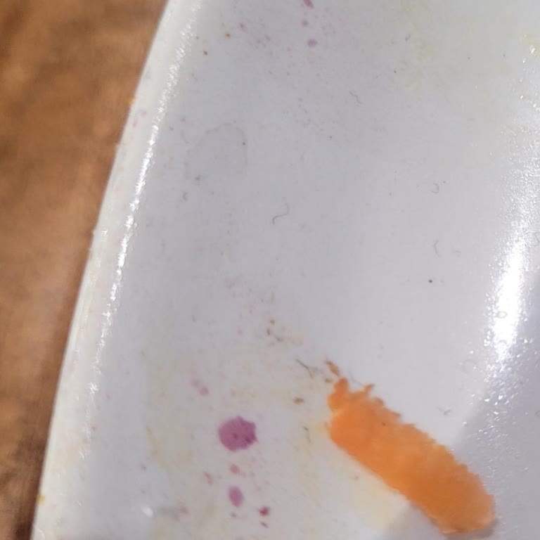 Hijyen Ve Kalite Sorunları Nedeniyle Kötü Yemek Deneyimi Yaşadık