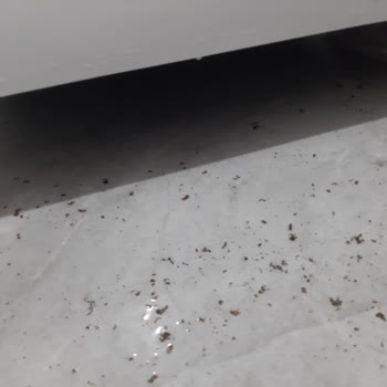 Vestel Bulaşık Makinesi Sürekli Su Kaçırıyor Servis Çözüm Sunmuyor