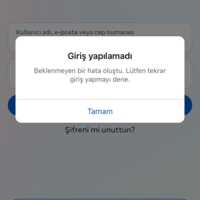 Dondurulan Instagram Hesabıma Erişim Sağlayamıyorum