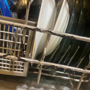 Bosch Bulaşık Makinesi Sepetlerinde Erken Paslanma Ve Dökülme Sorunu