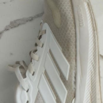 FLO'dan Aldığım Ayakkabının Değişimi Onaylanmadı, Mağdur Oldum