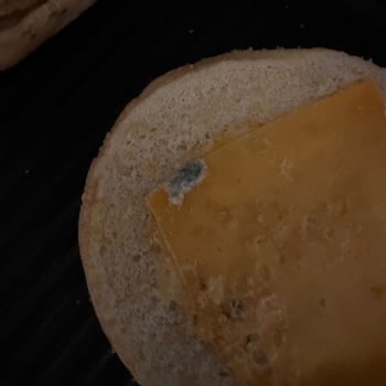 A101'den Aldığım Tavuk Burgerler Küflü Çıktı Ücret İadem Yapılmıyor