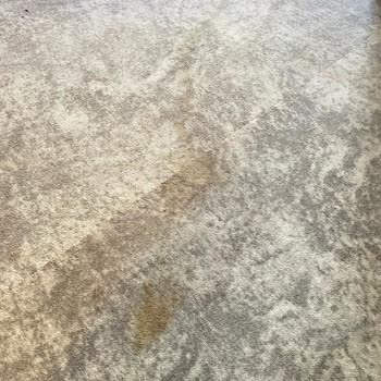 Dedeman Resort Kemer Otelde Temizlik Ve Hizmet Sorunları Tatilimizi Mahvetti