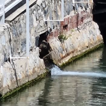 Otel Odasında Hijyen Sorunları Ve Sağlık Problemleri Yaşadık