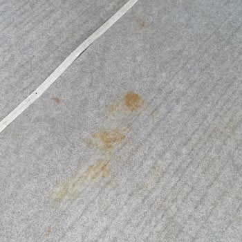 Otel Odasında Hijyen Sorunları Ve Sağlık Problemleri Yaşadık