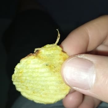 Cipso Cipsinden Yabancı Cisim Şoku!