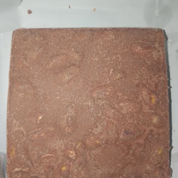 Son Tüketim Tarihi Geçmemiş Çikolatada Bozukluk Tespit Ettim