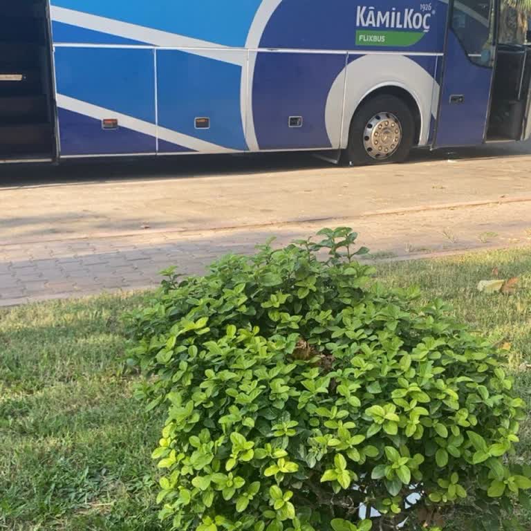 Kamil Koç Yolculuğunda Lastik Patlaması ve Yetersiz Bilgilendirme