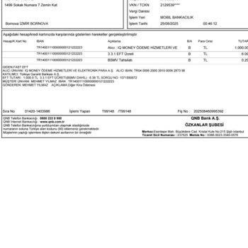 Havale İle Yatırdığım Para Hesabıma Geçmedi, Mağdur Oldum