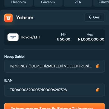 Havale İle Yatırdığım Para Hesabıma Geçmedi, Mağdur Oldum