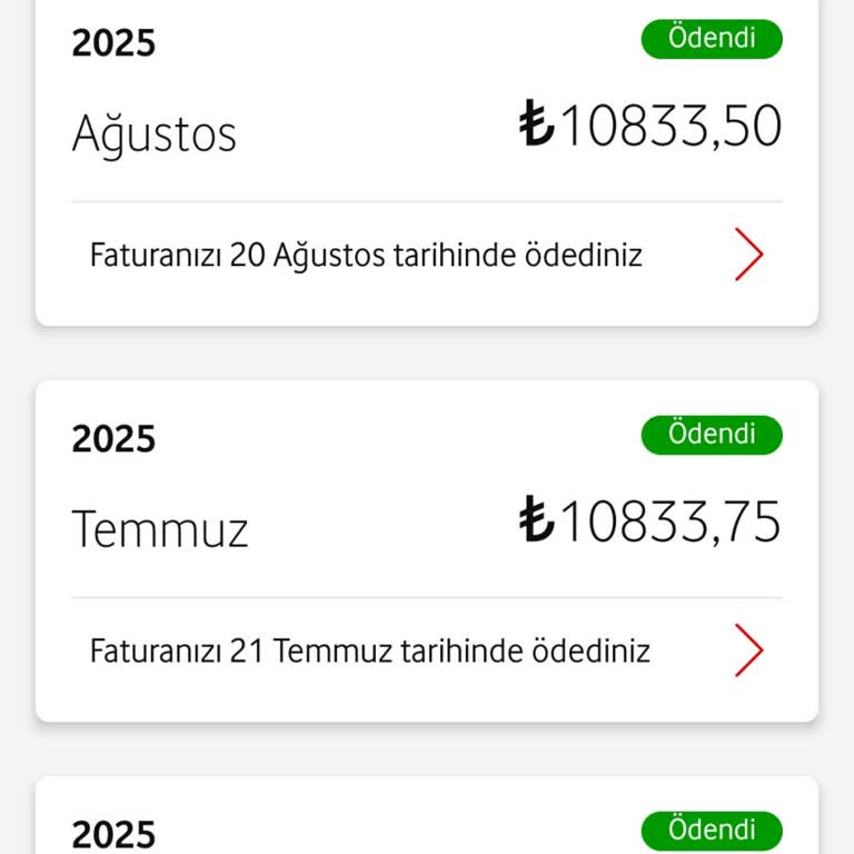 Biriktirdiğim Puanlar Açıklamasız Silindi, Mağduriyetim Giderilmiyor