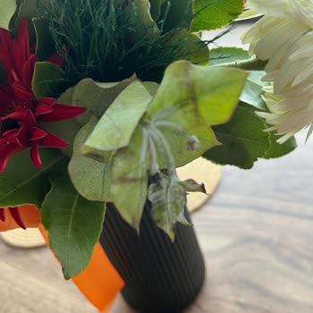 Sipariş Edilen Çiçeklerin Solgun Ve Yıpranmış Gelmesi, Yetersiz Telafi Süreci