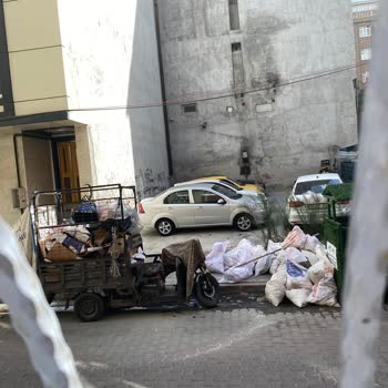 Çöp Konteynerinden Kaynaklanan Koku Ve Sivrisinek Sorunu
