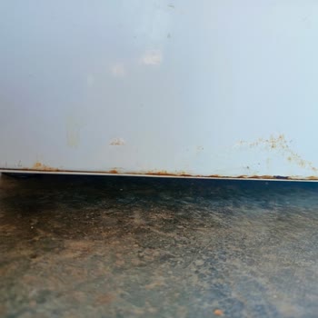 Regal Buzdolabında Garanti Kapsamında Paslanma Ve Servis Sorunu