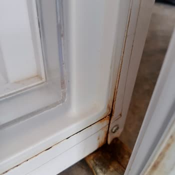 Regal Buzdolabında Garanti Kapsamında Paslanma Ve Servis Sorunu