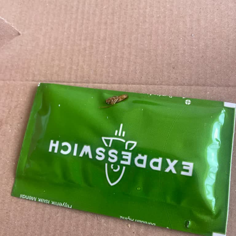 Siparişimde Hamam Böceği Çıktı, Hijyen Ve Müşteri Hizmetleri Sorunu