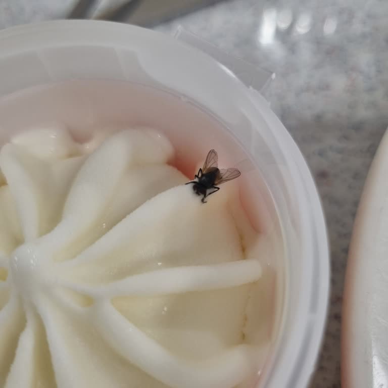 Algida Maraş Usulü Dondurmada Donmuş Sinek Çıkması Ve Hijyen Sorunu