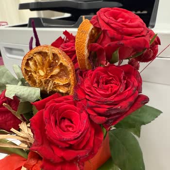 Soluk Ve Kırık Güllerle Hayal Kırıklığına Uğradım