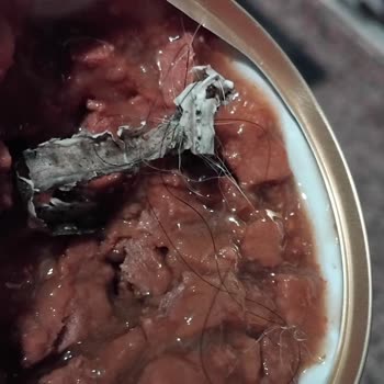 Kedi Mamasında Yabancı Cisimle Karşılaştım Mağduriyetimin Giderilmesini İstiyorum