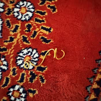 QNB Türkiye Şubesinde Yaşadığım Ciddi Mağduriyet Ve Usulsüz İşlemler