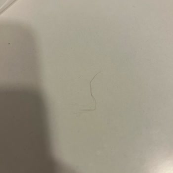 Siparişimden Kıl Çıktı, Hijyen Ve İade Talebim Cevapsız Kaldı