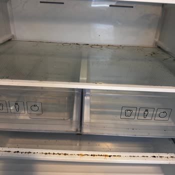 Yeni Buzdolabı Teslim Edilmedi, Mağduriyetim Devam Ediyor