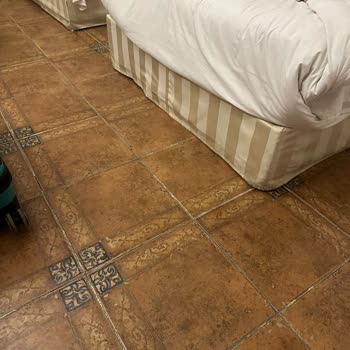 Tatilsepeti Mısır Turu: Kirli Otel, İlgisiz Rehber Ve Eksik İade Mağduriyeti