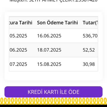 Kullanmadığım İnternet İçin Haksız Fatura Ve Faiz Mağduriyeti