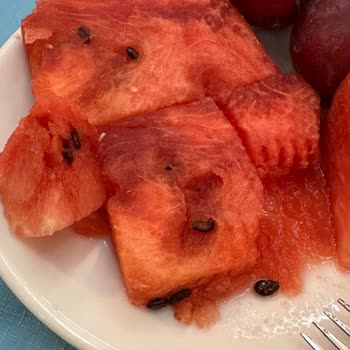 Hijyen Ve Güvenlik Yok, Paramız İade Edilmiyor