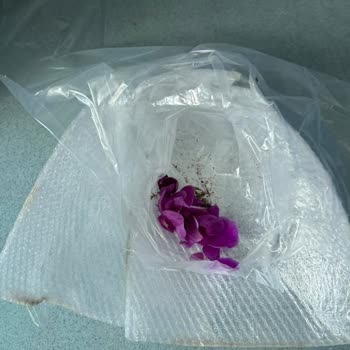 Sipariş Edilen Orkide Geç Ve Hasarlı Teslim Edildi, Müşteri Hizmetleri Yetersiz Kaldı