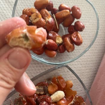 Küflü Ve Çürük İğde Hayal Kırıklığı Yarattı