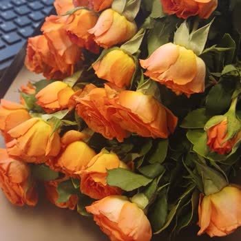 Solmuş Çiçek Teslimatı Ve Yetersiz Müşteri Hizmeti