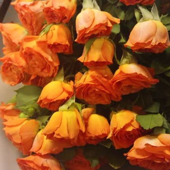 Solmuş Çiçek Teslimatı Ve Yetersiz Müşteri Hizmeti