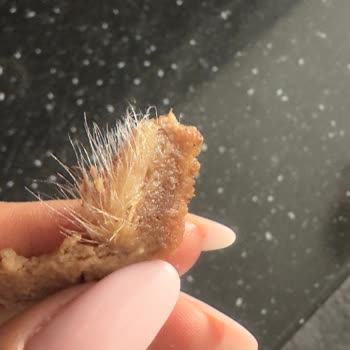 Erşan Et Hazır Dönerde Hayvan Derisi Ve Tüyü Çıkması!