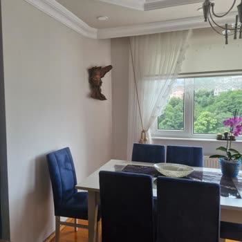 Beklenen Renk Ve Işıltıyı Vermeyen İç Cephe Boyası Deneyimi