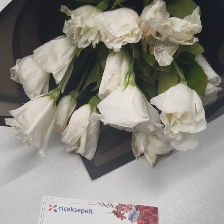 Doğum Günü İçin Sipariş Ettiğim Çiçekler Solmuş Ve Telafi Süreci Çok Yavaş İlerliyor