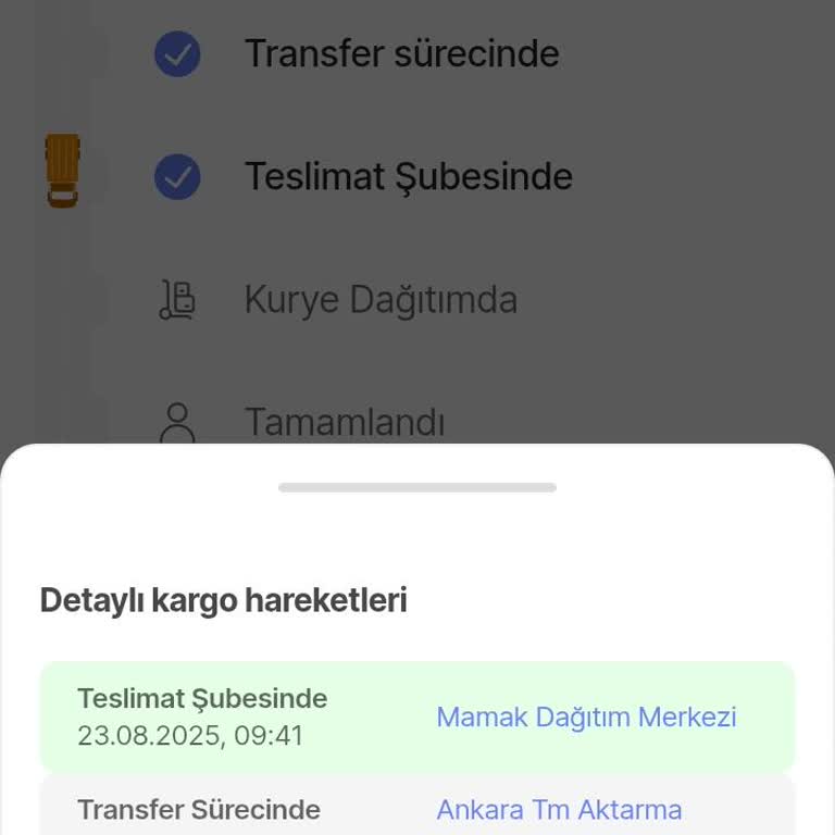 Randevulu Teslimat Seçeneğine Rağmen Kargom Teslim Edilmedi, Mağdur Oldum