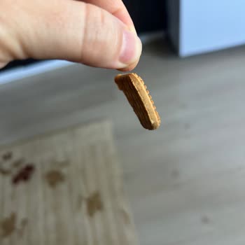 A101’den Alınan Xroll Bisküvinin İçinden Kıl Çıktı!