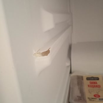 Yeni Alınan Vestel Buzdolabında Kırık Ve Yırtık Şoku: Garanti Mağduriyeti